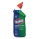 Toilet Bowl Cleaner with Bleach, Fresh Scent, 24oz Bottle