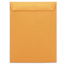 Catalog Envelope, #13 1/2, Square Flap, Gummed Closure, 10 x 13, Brown Kraft, 250/Box
